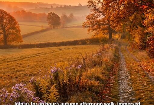 Autumn Walk